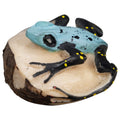 Black And Blue Poison Dart Frog Tagua Carving