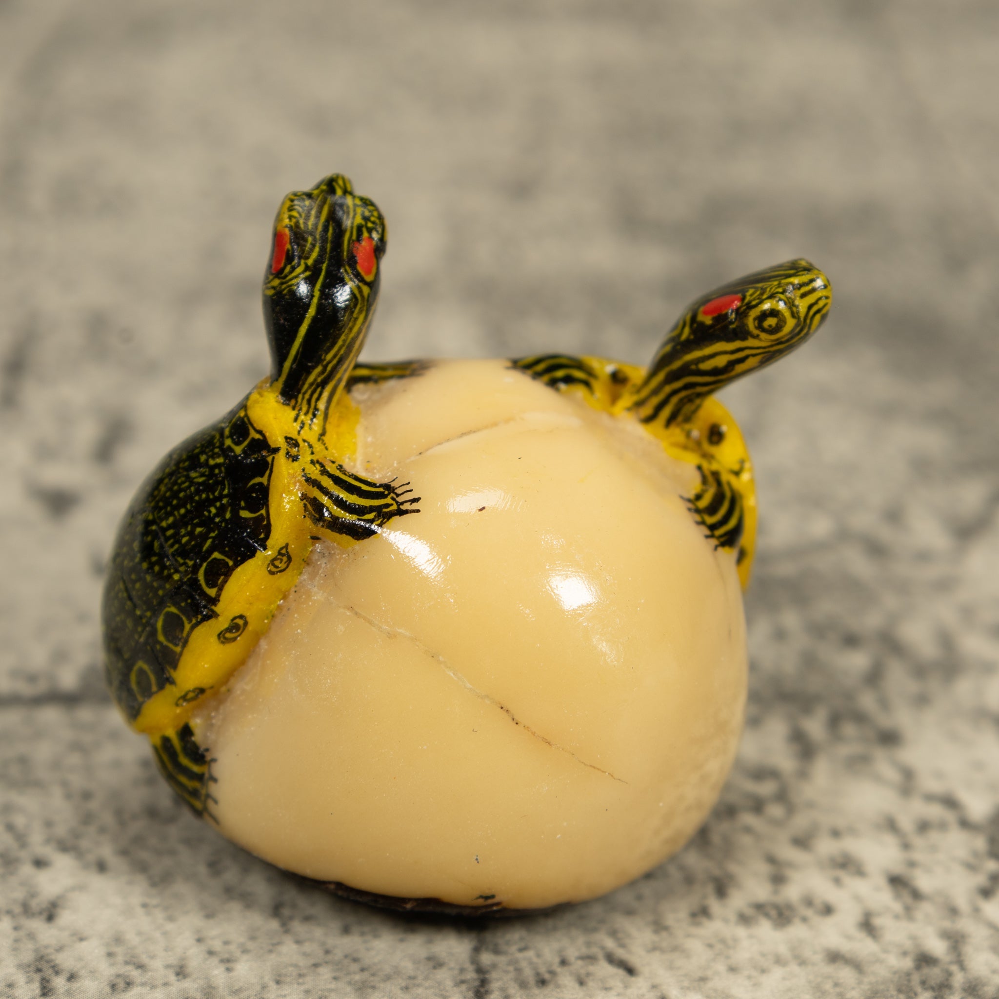 Double (2) Tortoise Turtle Tagua Carving