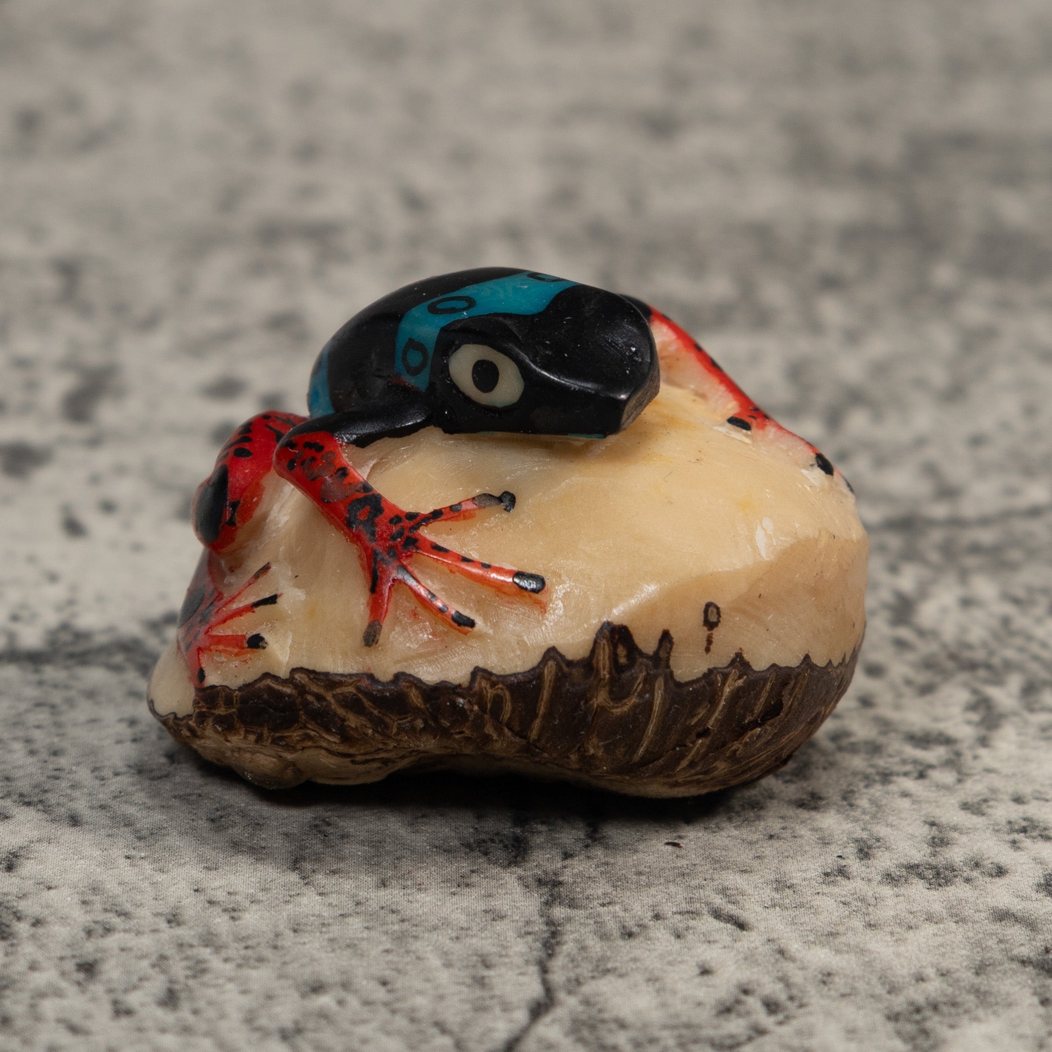 Vintage Black Blue And Red Rainforest Frog Tagua Carving