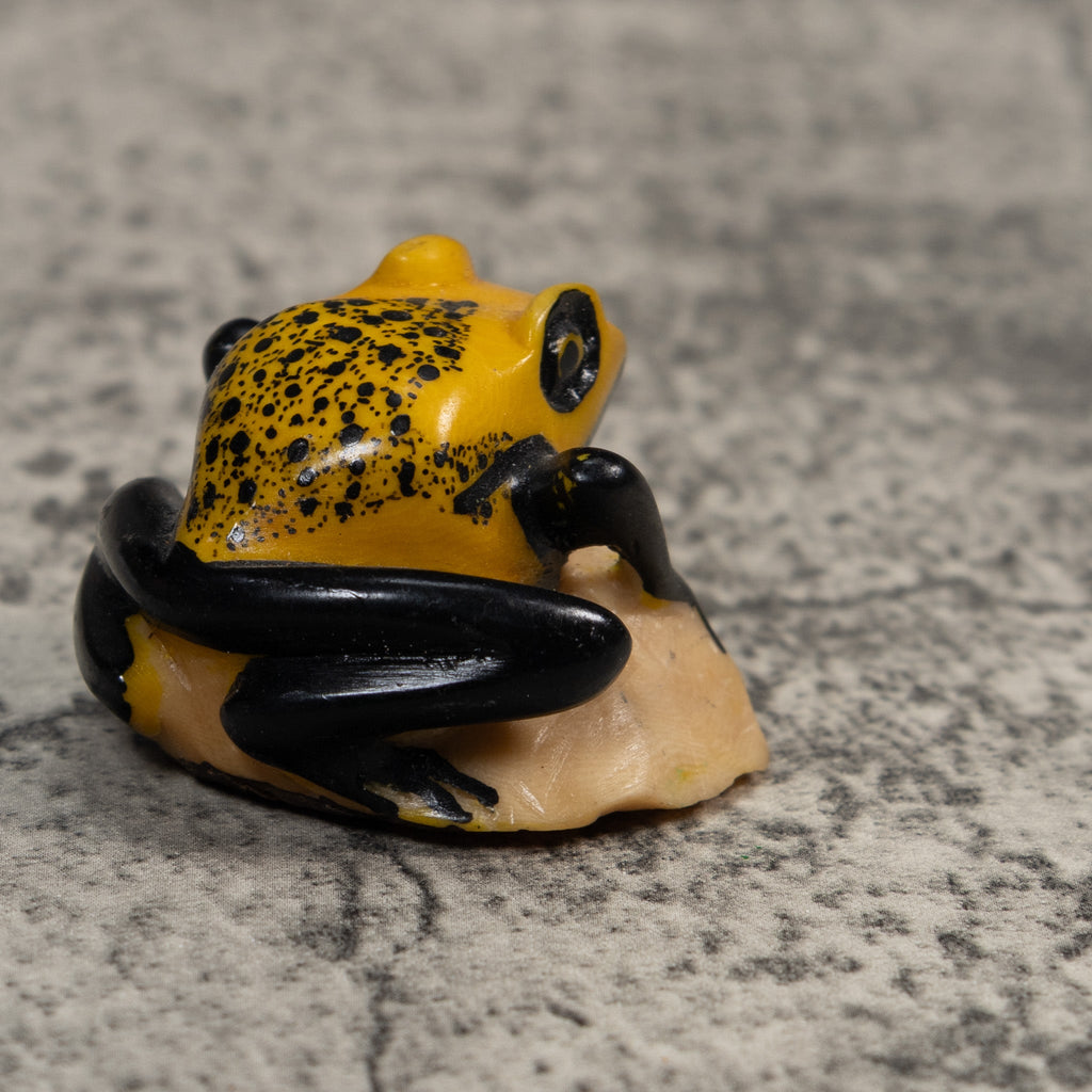 Vintage Black And Gold Poison Dart Frog Tagua Carving