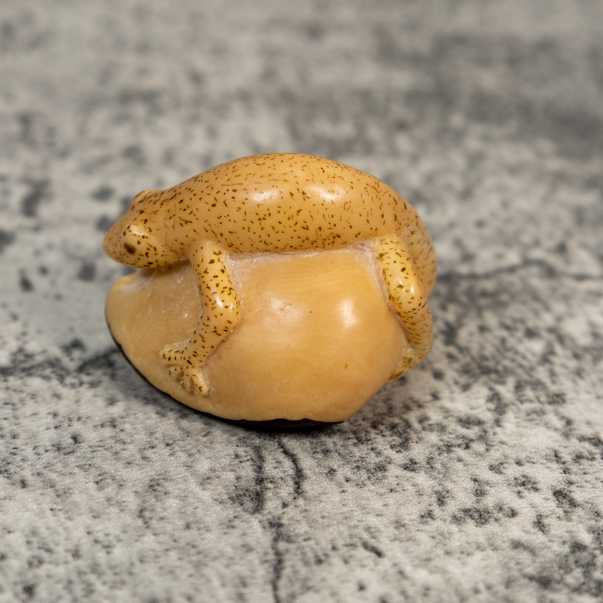 Vintage Dyed Gecko Lizard Tagua Carving