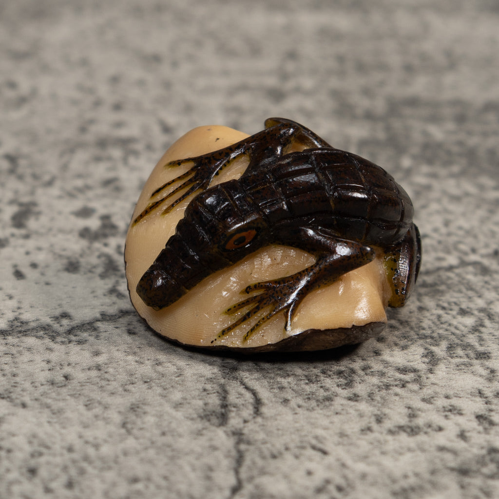 Brown And Black Alligator Crocodile Tagua Carving