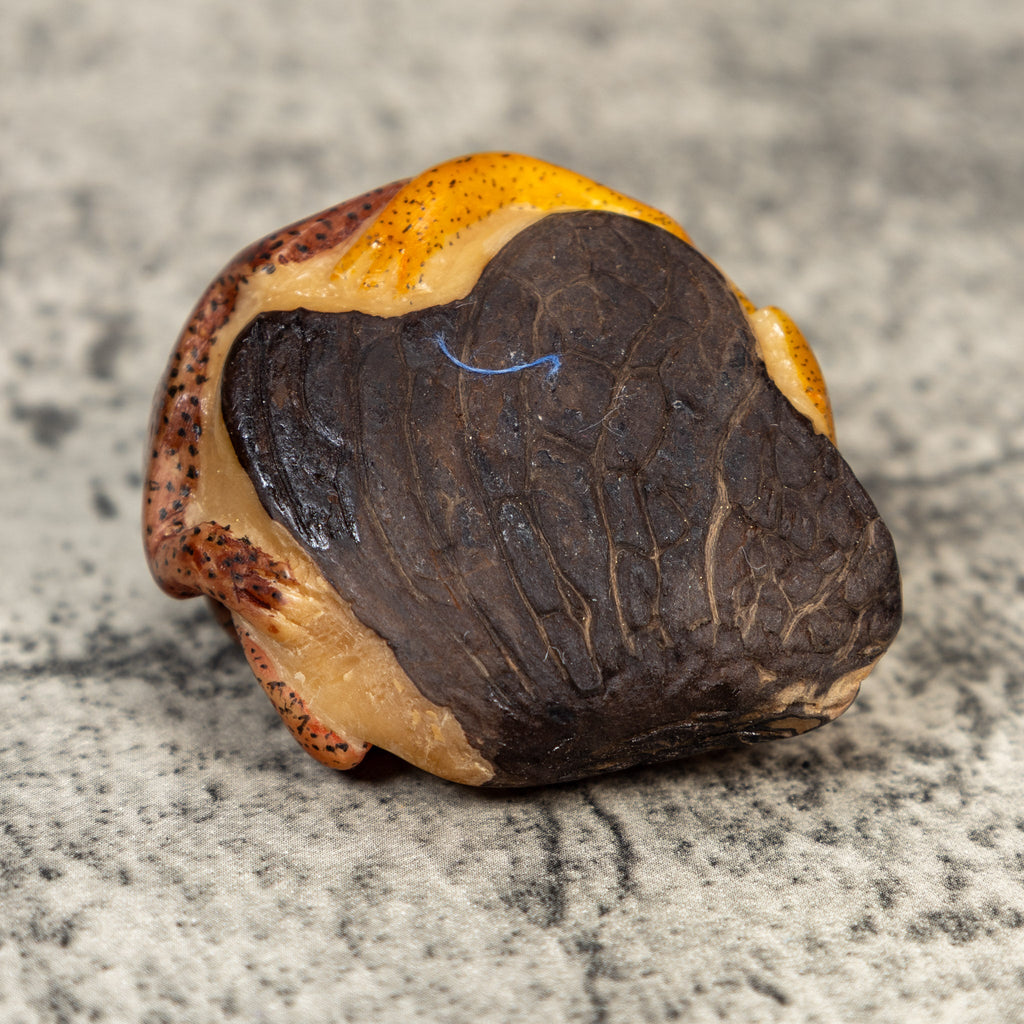 Three Poison Dart Frog Tagua Carving