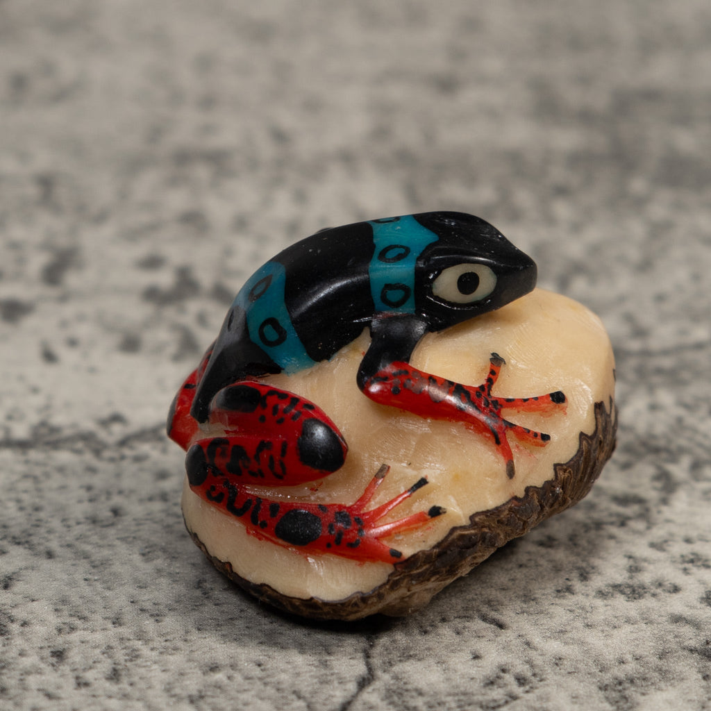 Vintage Black Blue And Red Rainforest Frog Tagua Carving