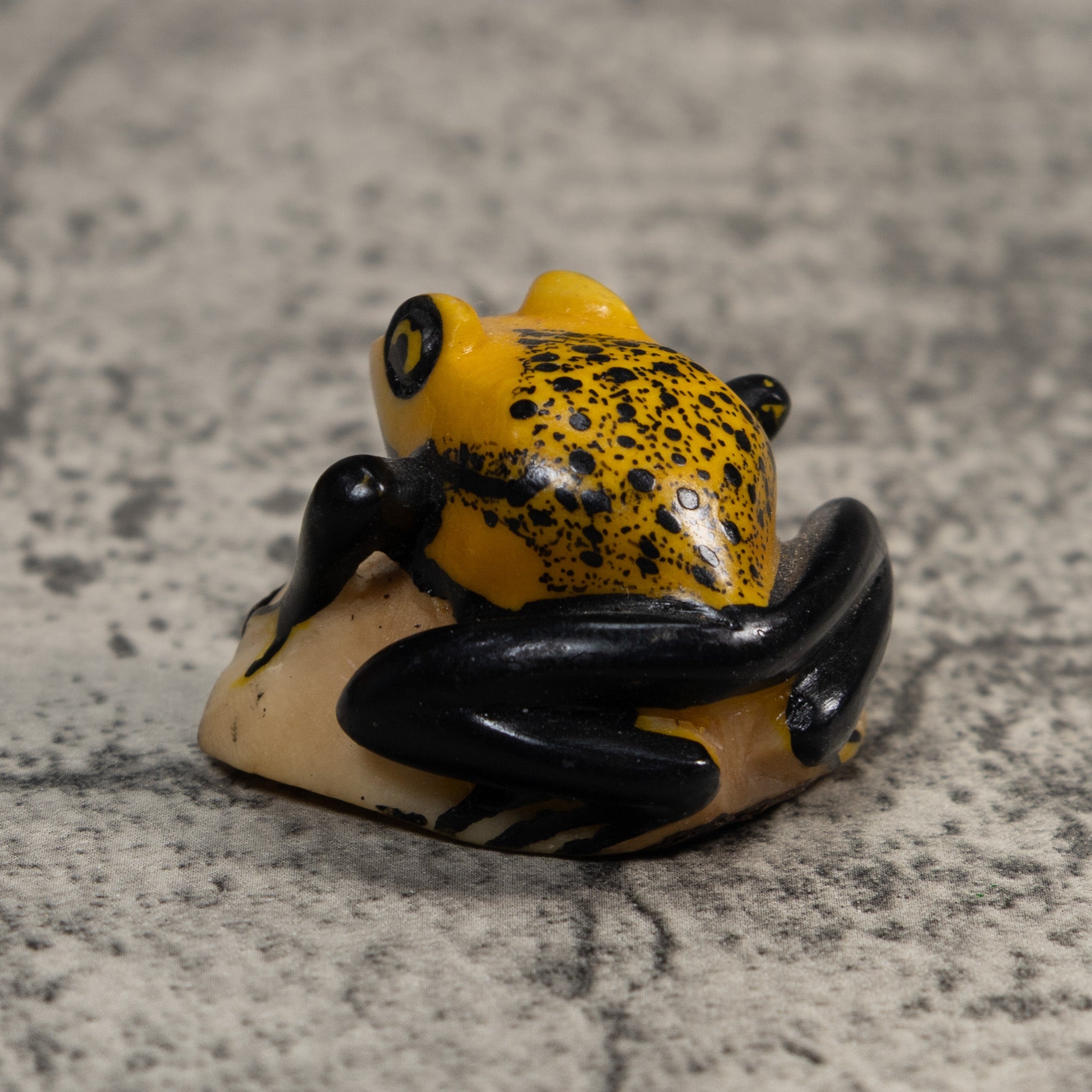 Vintage Black And Gold Poison Dart Frog Tagua Carving