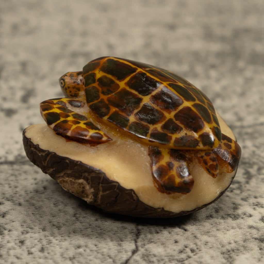 Sea Turtle Tagua Carving