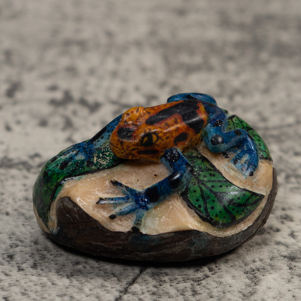 Orange Blue And Black FrogTagua Carving