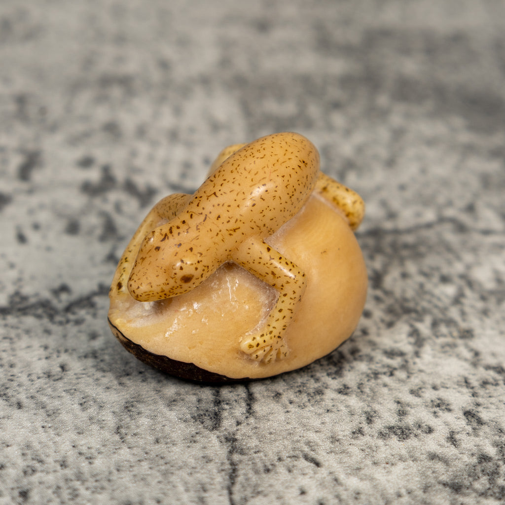 Vintage Dyed Gecko Lizard Tagua Carving