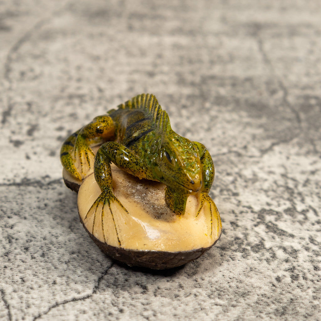 Double Nut Iguana Lizard Tagua Carving