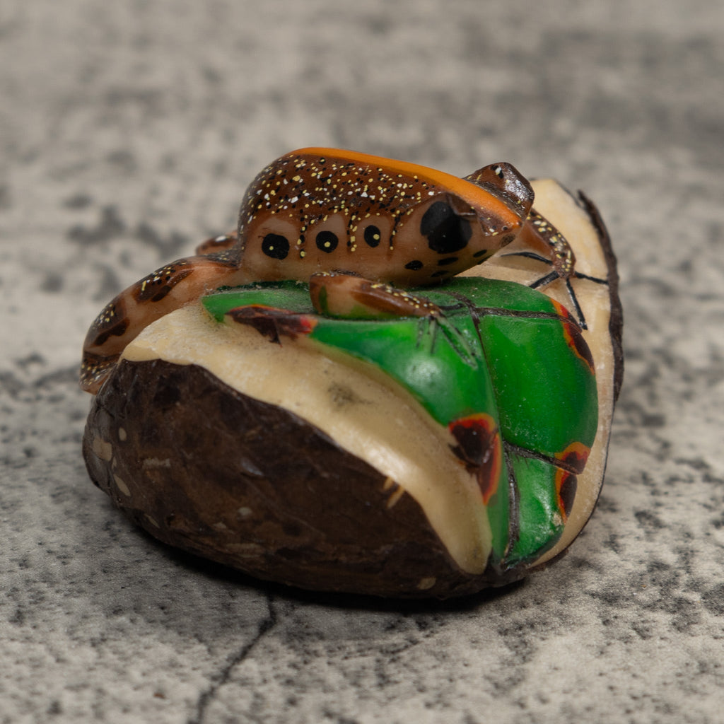 Brown And Orange Poison Dart Frog Tagua Carving