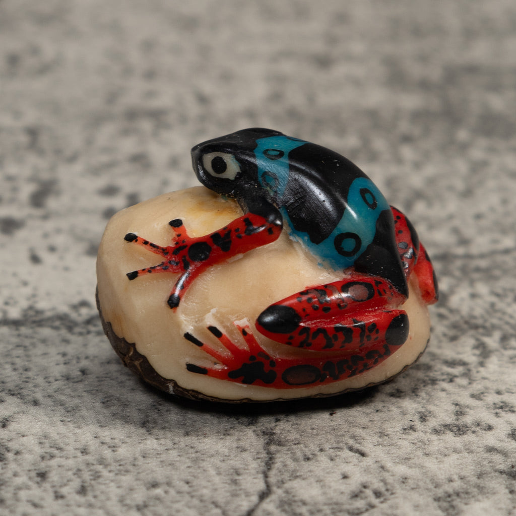 Vintage Black Blue And Red Rainforest Frog Tagua Carving