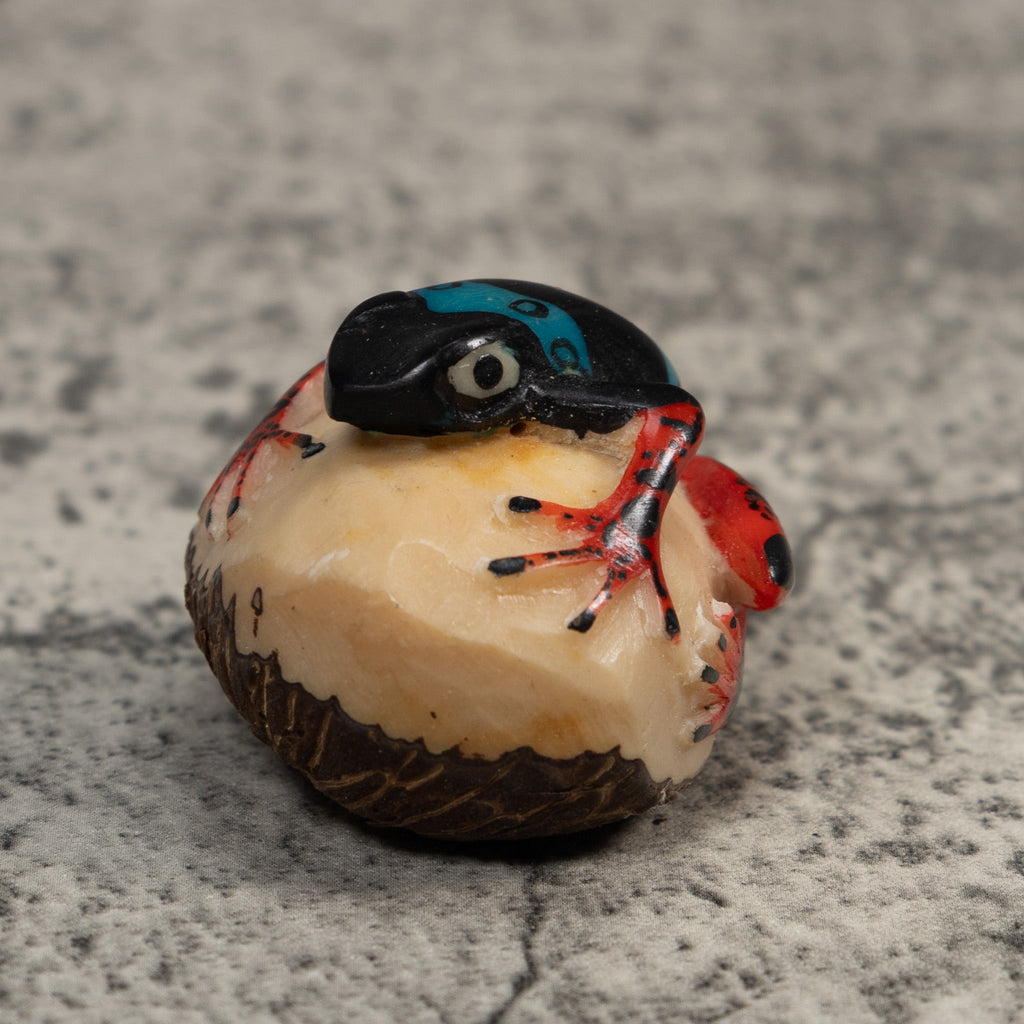 Vintage Black Blue And Red Rainforest Frog Tagua Carving