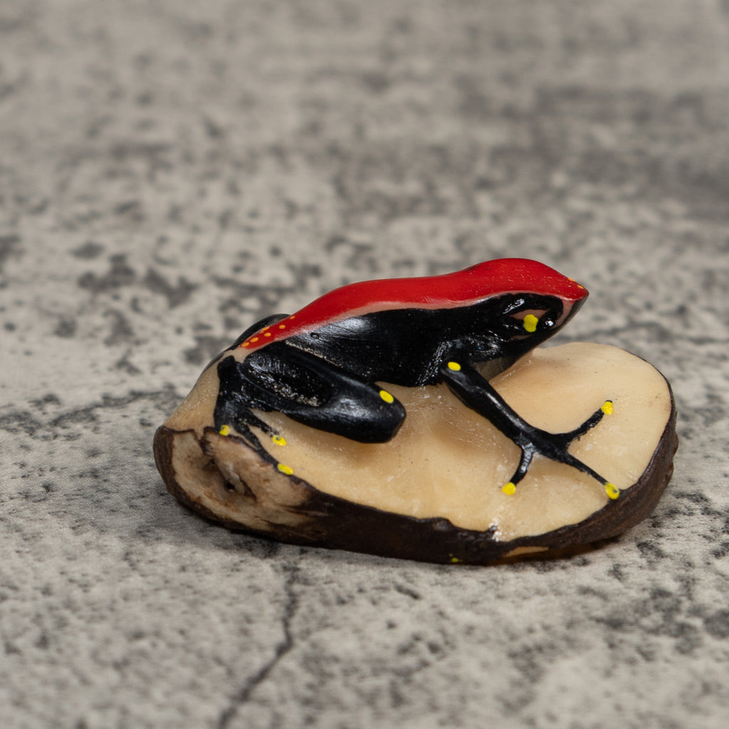 Red Yellow And Black  Poison Dart Frog Tagua Carving