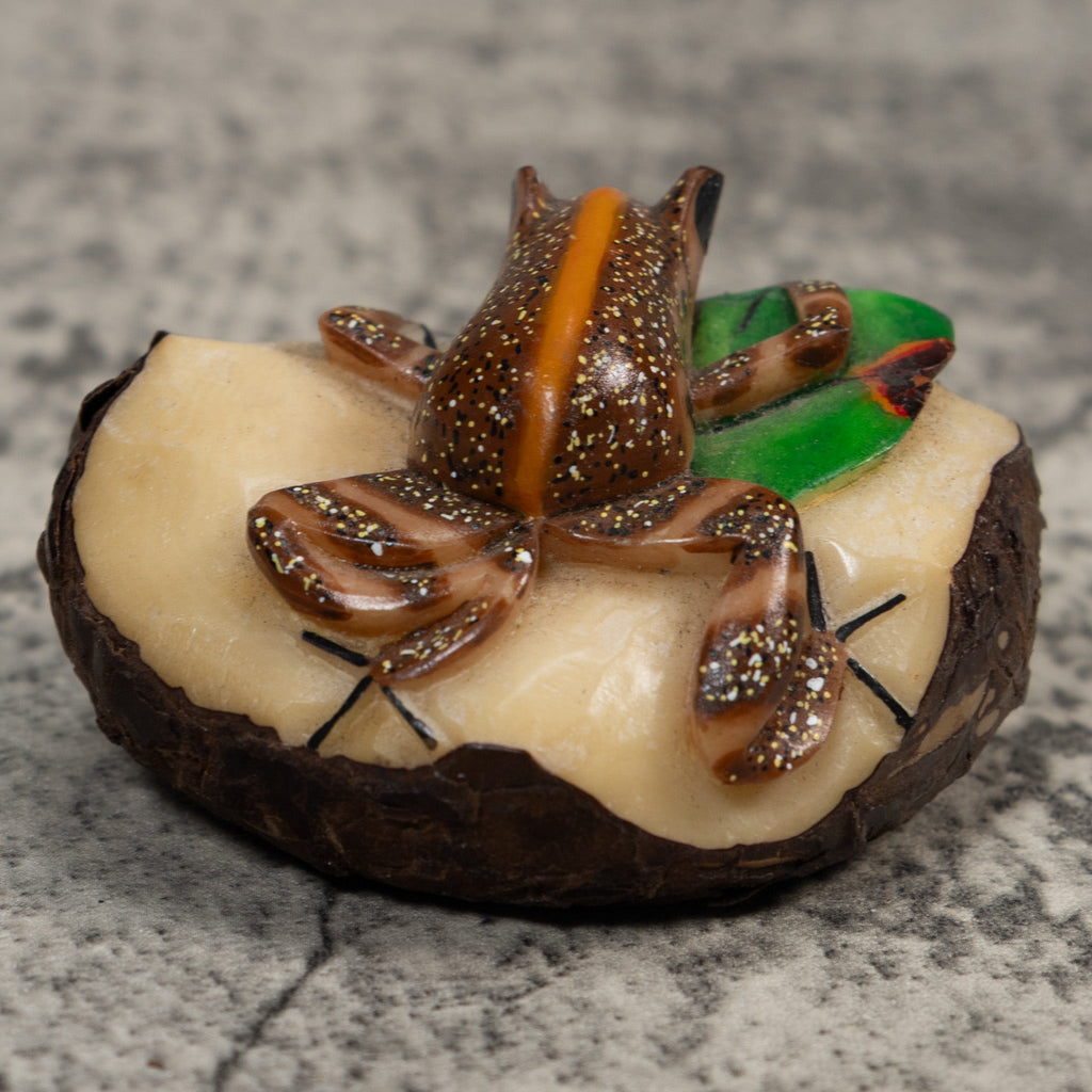 Brown And Orange Poison Dart Frog Tagua Carving