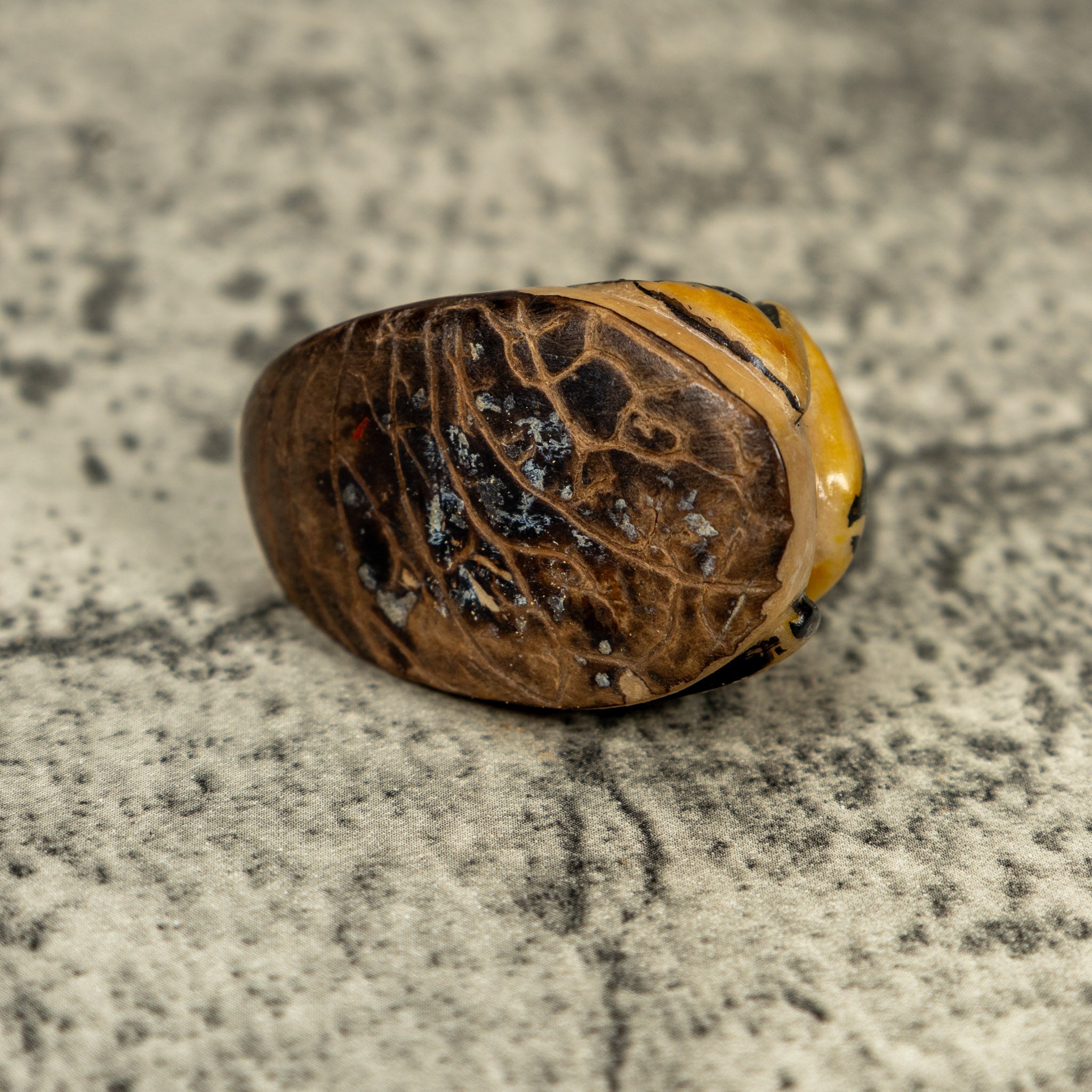 Vintage Black And Gold Rainforest Frog Tagua Carving