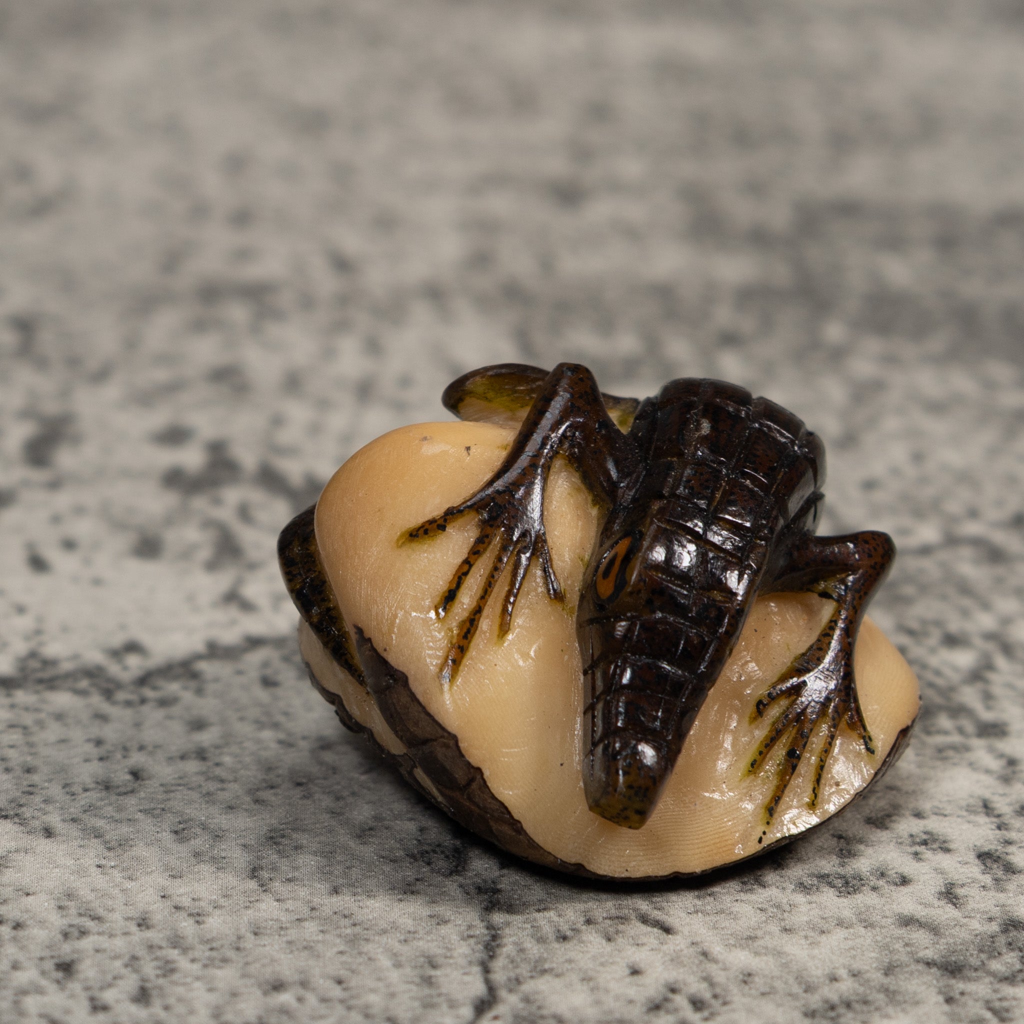 Brown And Black Alligator Crocodile Tagua Carving
