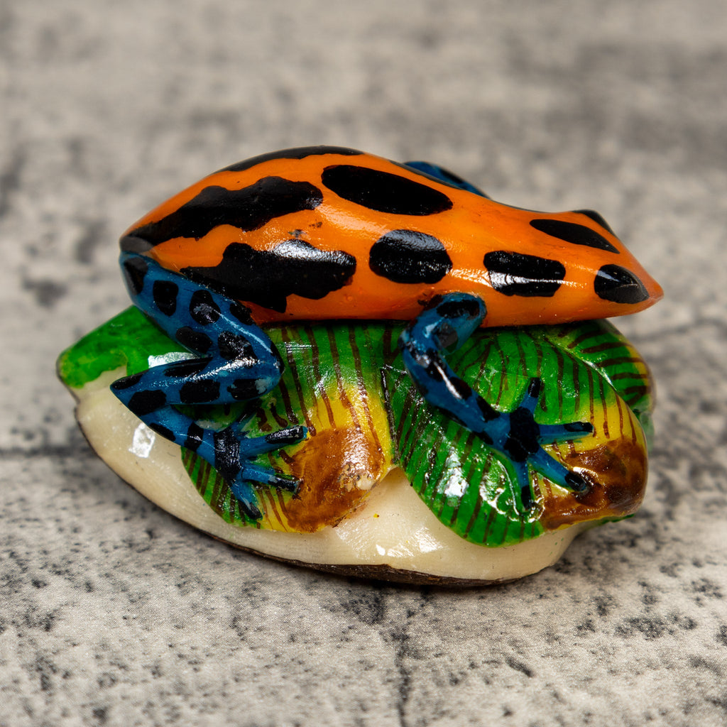 Orange Black And Blue Poison Dart Frog Tagua Carving