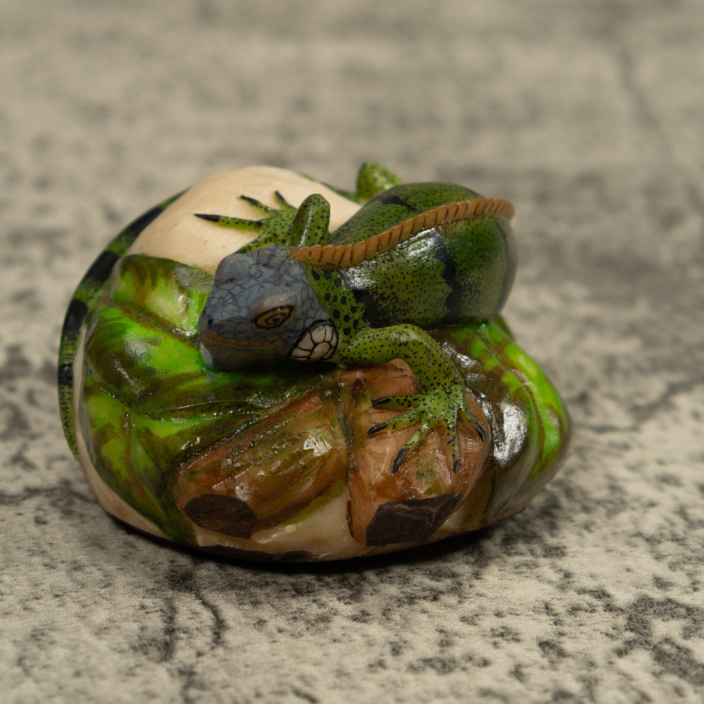 Iguana Lizard Reptile Tagua Carving