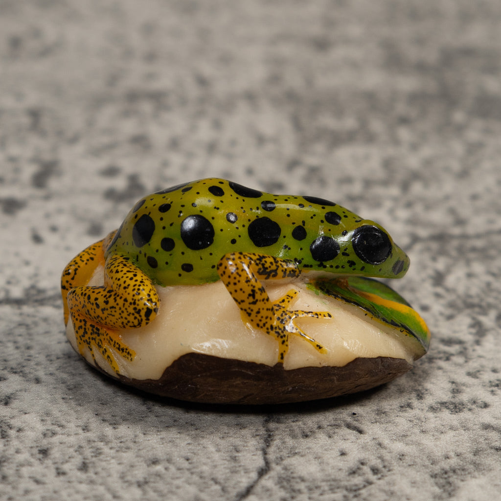 Green Gold And Black Poison Dart Frog Tagua Carving