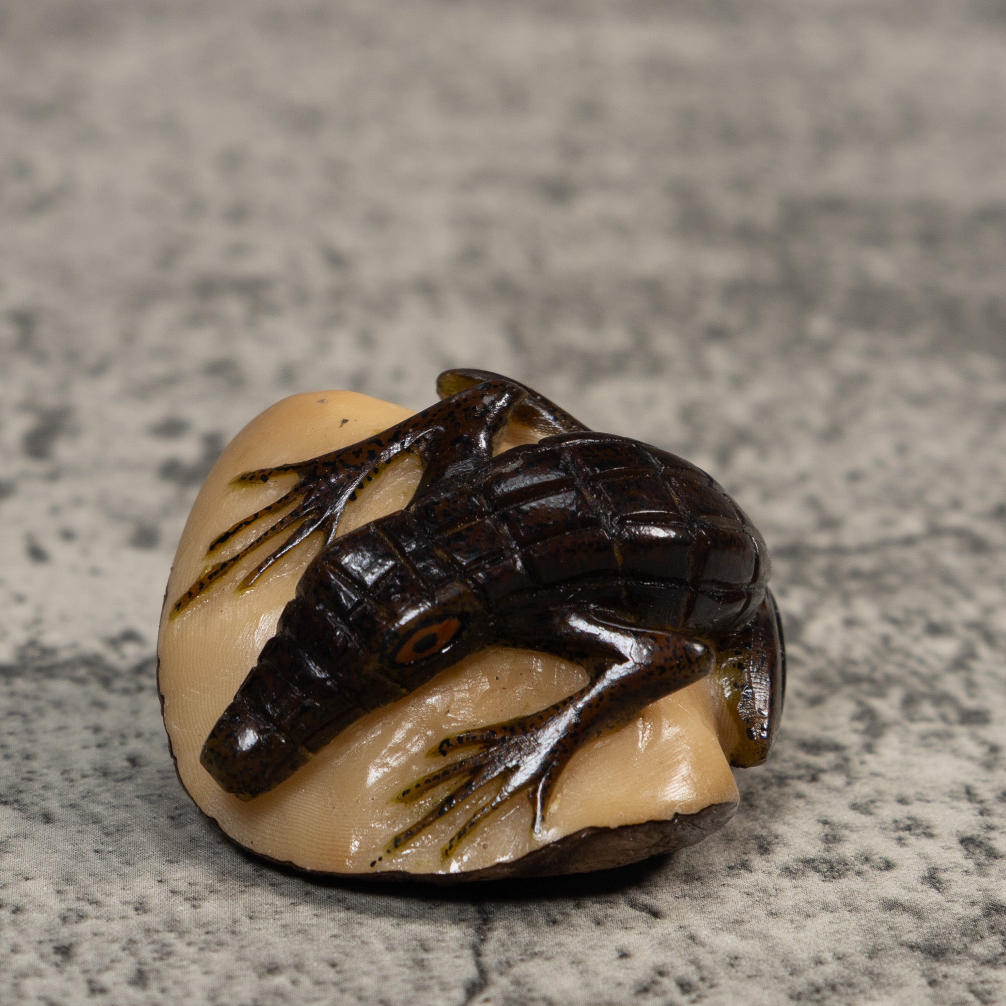 Brown And Black Alligator Crocodile Tagua Carving