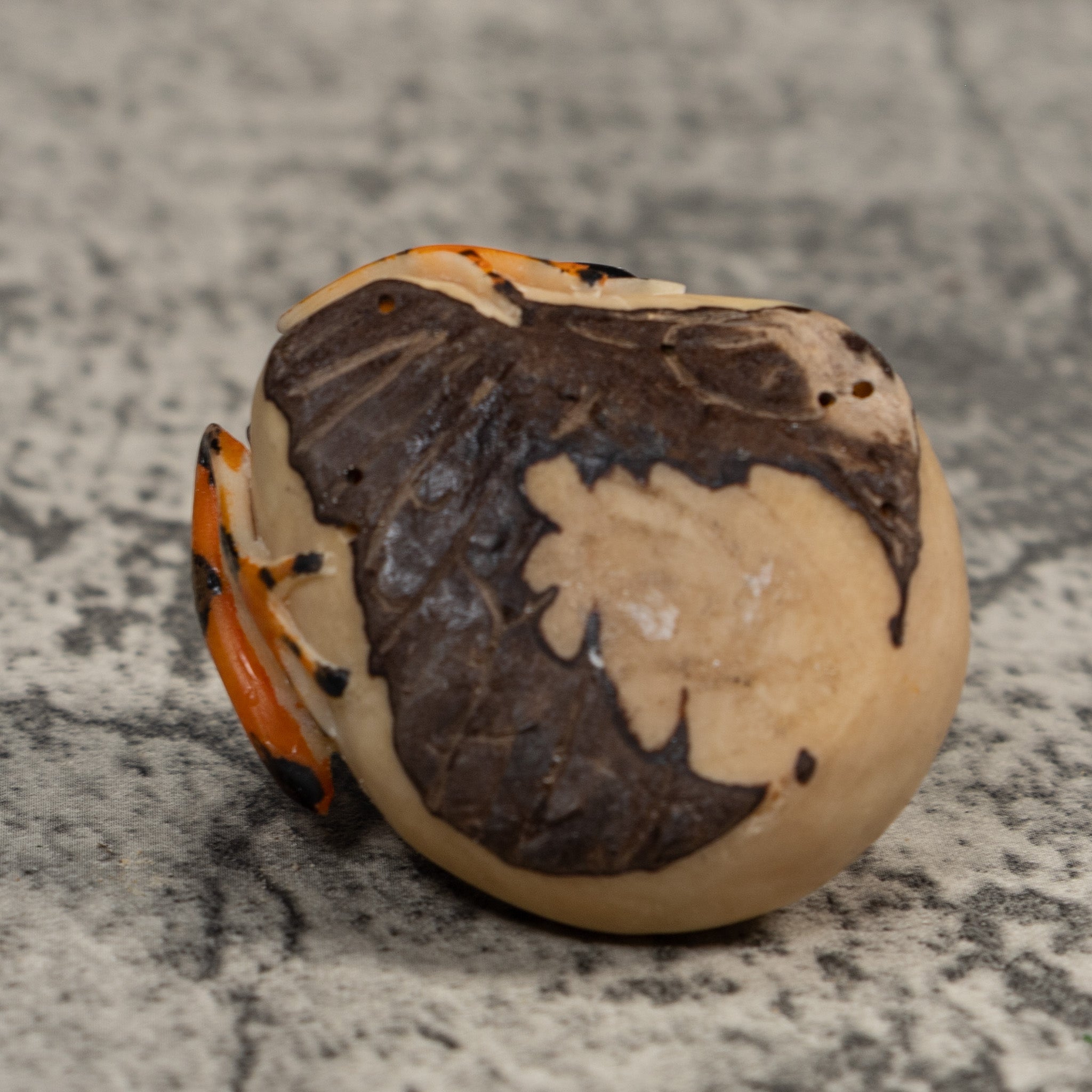 Vintage Orange And Black Poison Dart Frog Tagua Carving