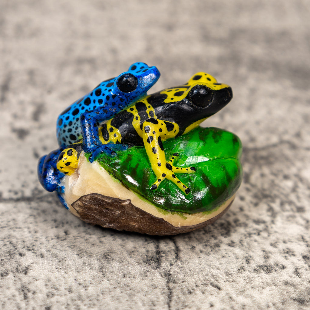 Two Poison Dart Frog Tagua Carving