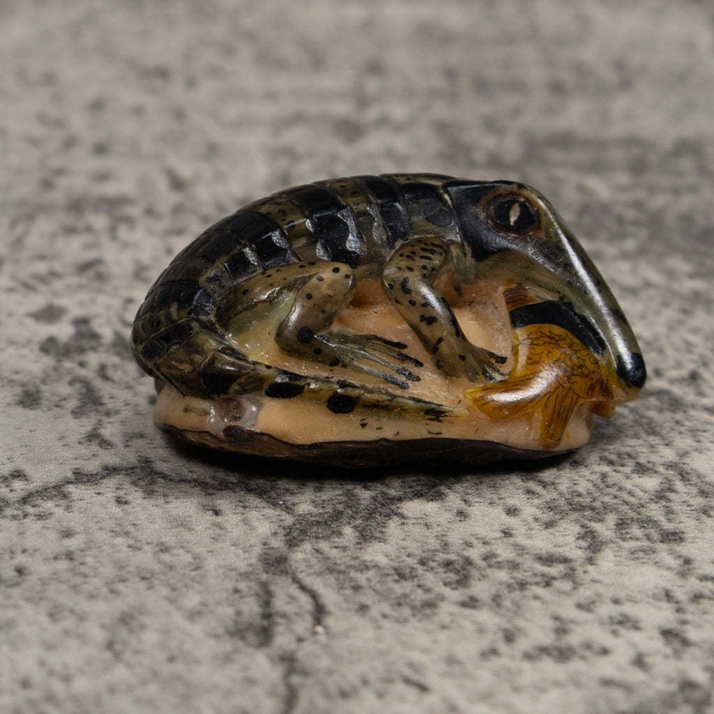 Vintage Black And Brown Alligator With Fish Tagua Carving