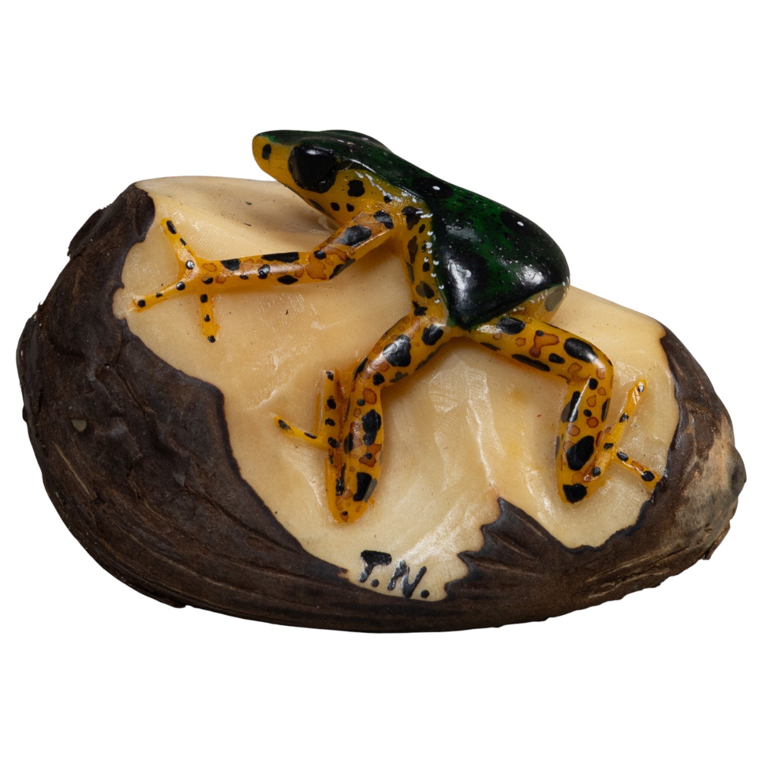 Gold And Black Poison Dart Frog Tagua Carving
