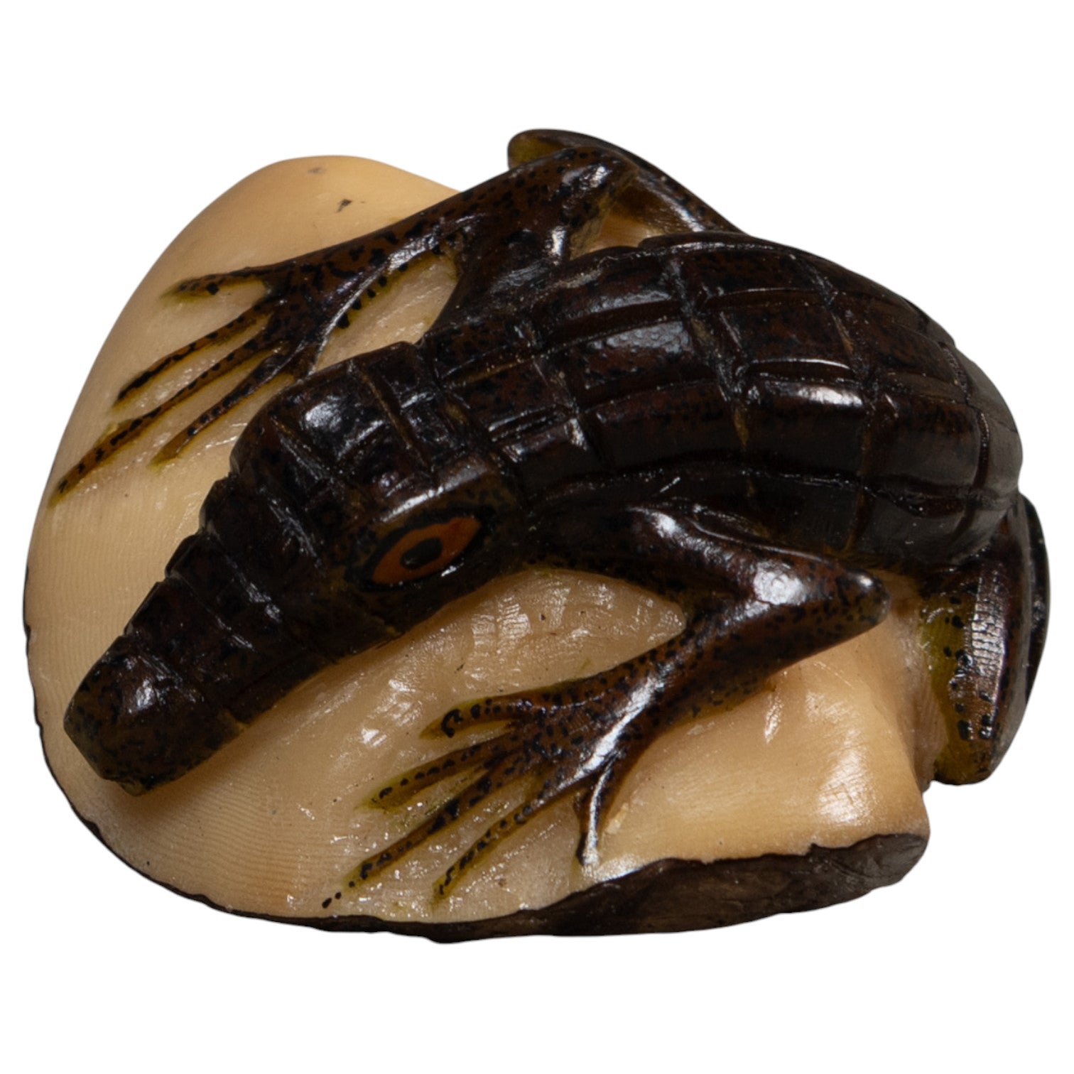 Brown And Black Alligator Crocodile Tagua Carving