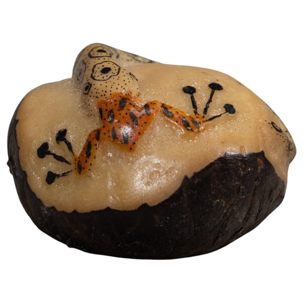 Orange And Black Snake Eating Frog Tagua Carving