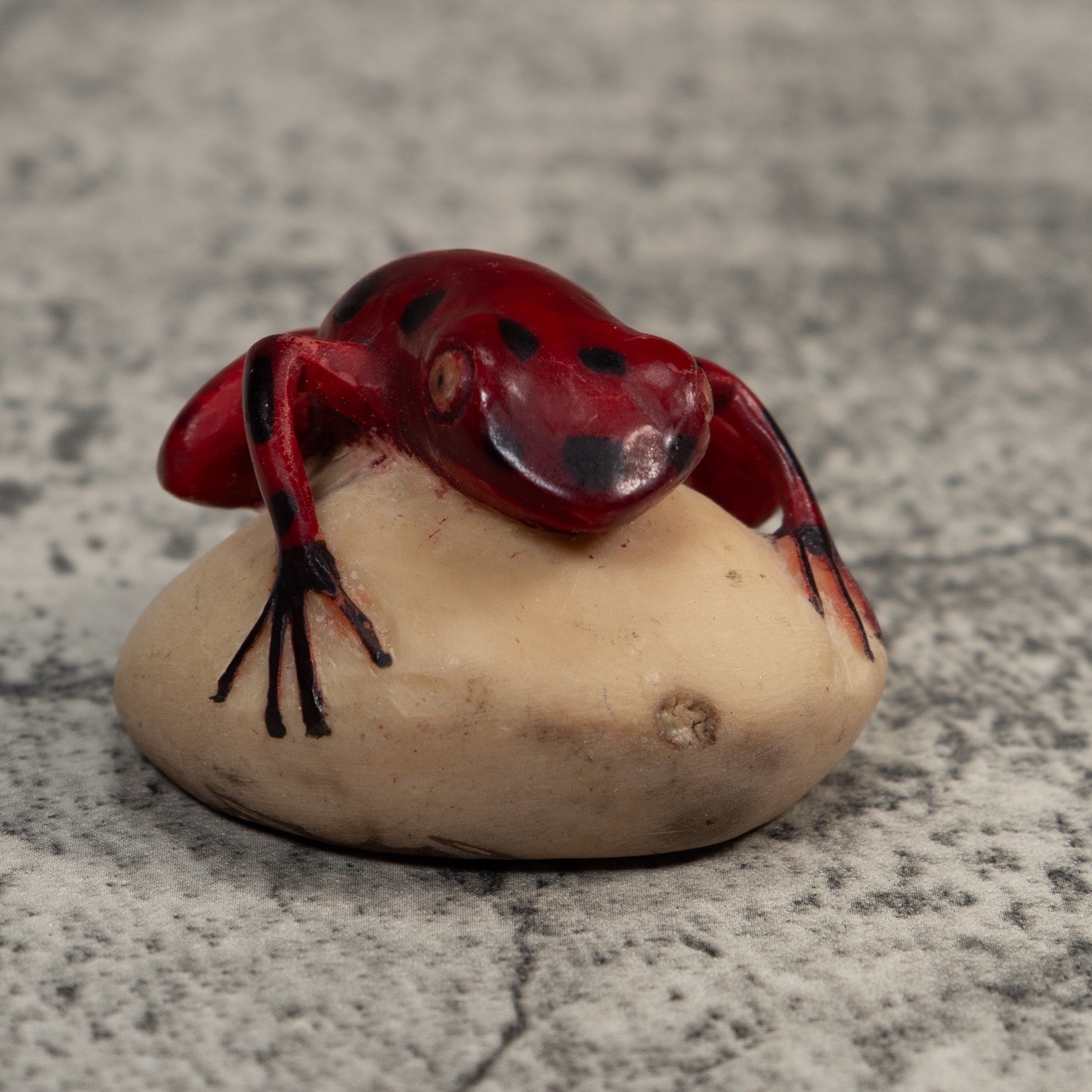 Vintage Red And Black Poison Dart Frog Tagua Carving
