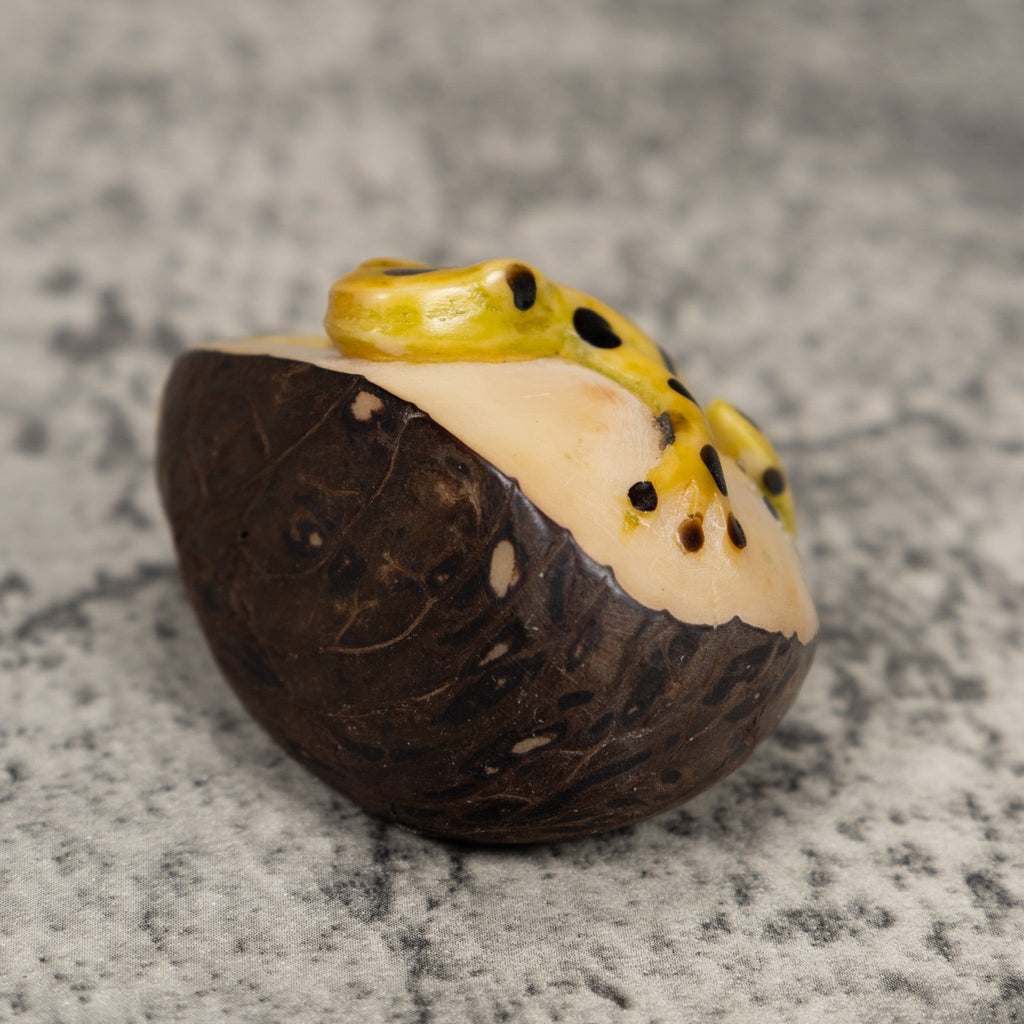 Golden Frog Tagua Carving
