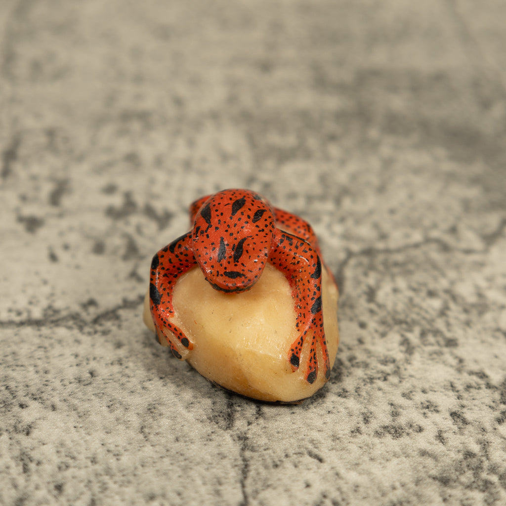 Black And Orange Poison Dart Frog Tagua Carving