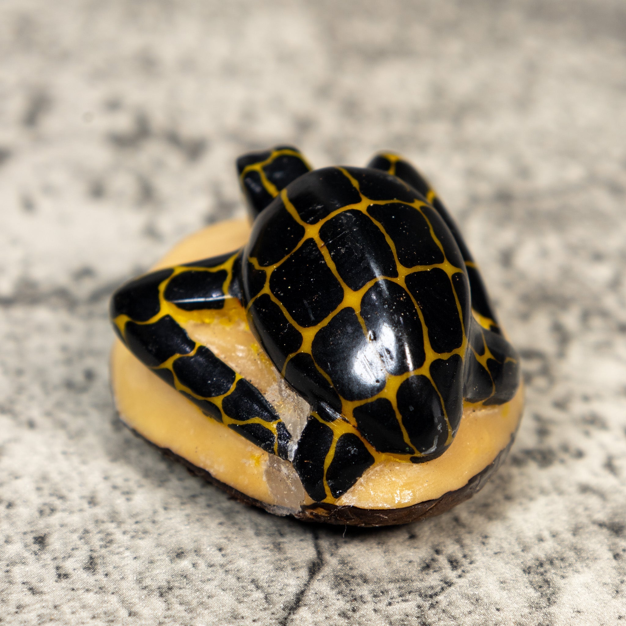Vintage Black And Gold Sea Turtle Tagua Carving