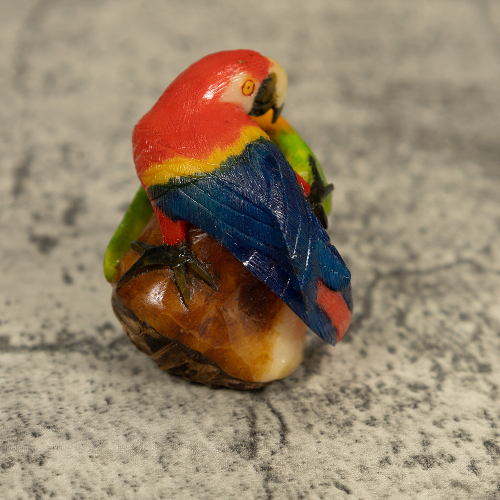 Red Blue And Yellow Macaw Parrot Bird Tagua Carving