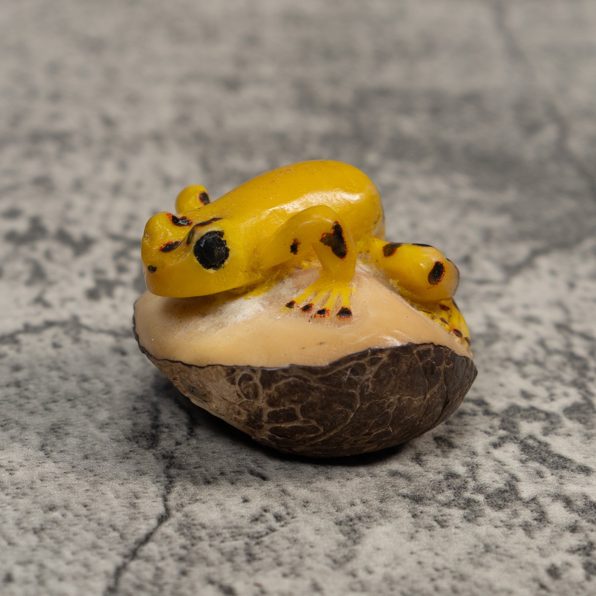 Vintage Black And Gold Poison Dart Frog Tagua Carving
