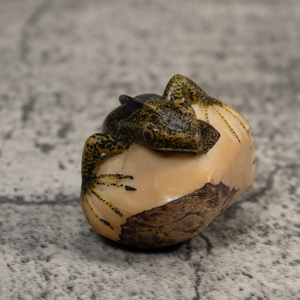 Brown And Black Iguana Lizard Tagua Carving