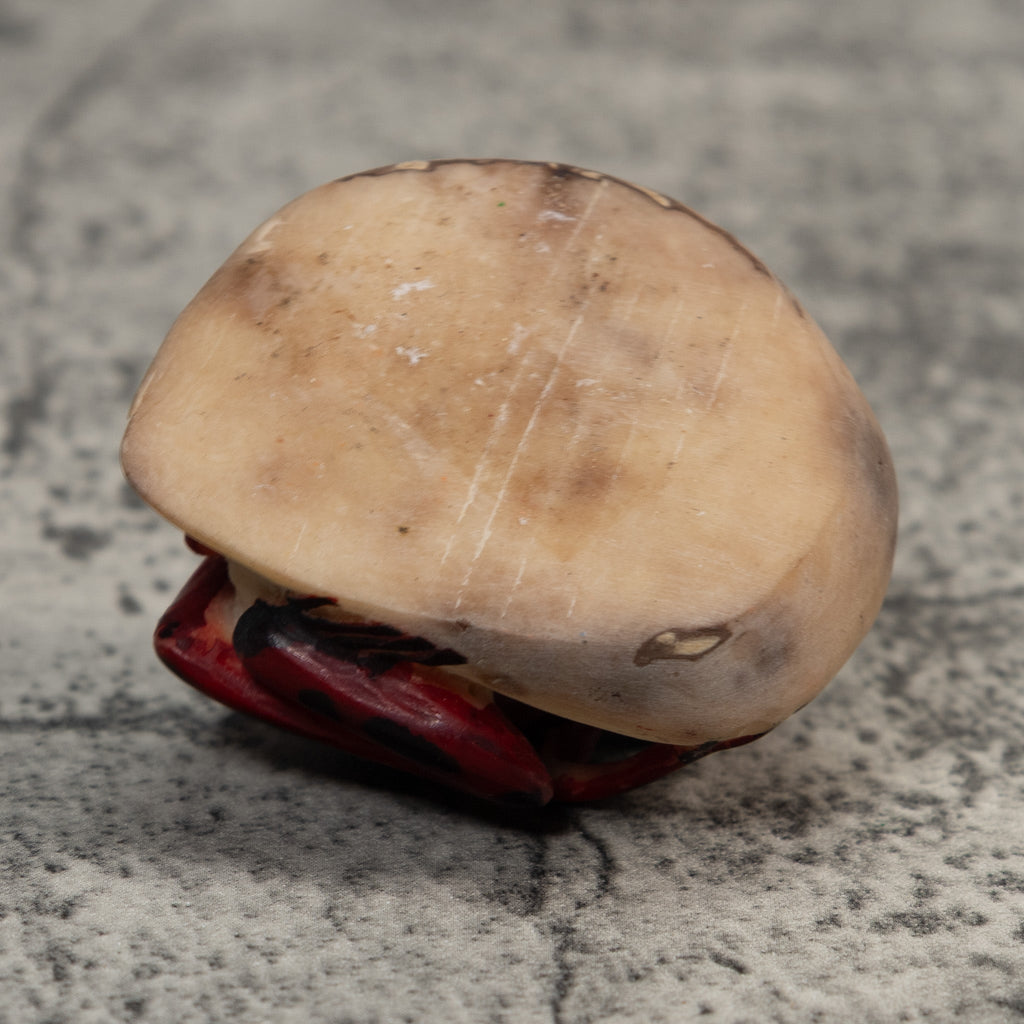 Vintage Red And Black Poison Dart Frog Tagua Carving