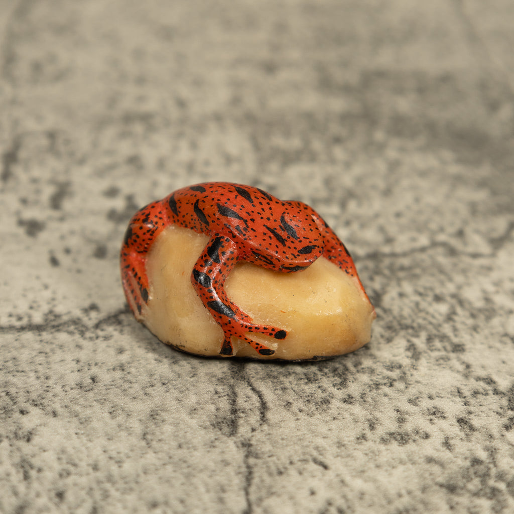 Black And Orange Poison Dart Frog Tagua Carving