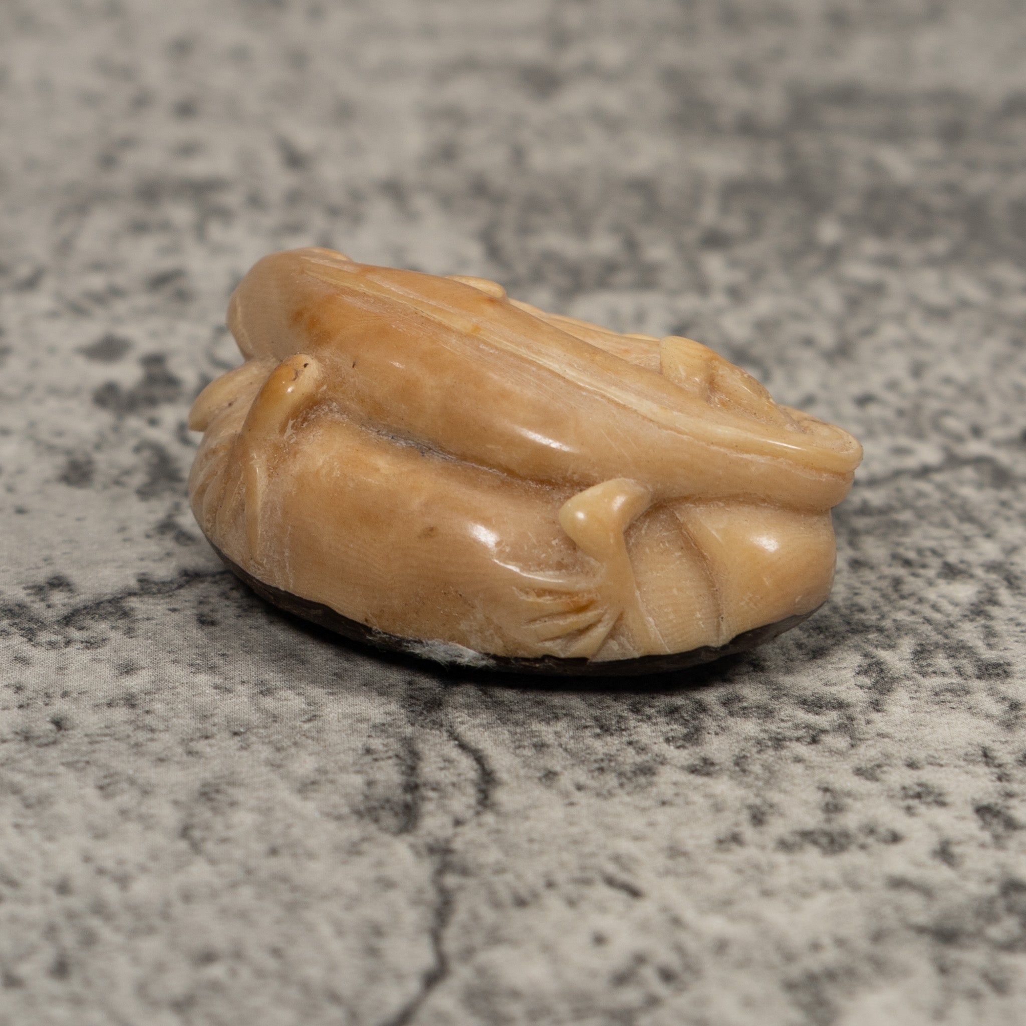Vintage Iguana And Frog Tagua Carving
