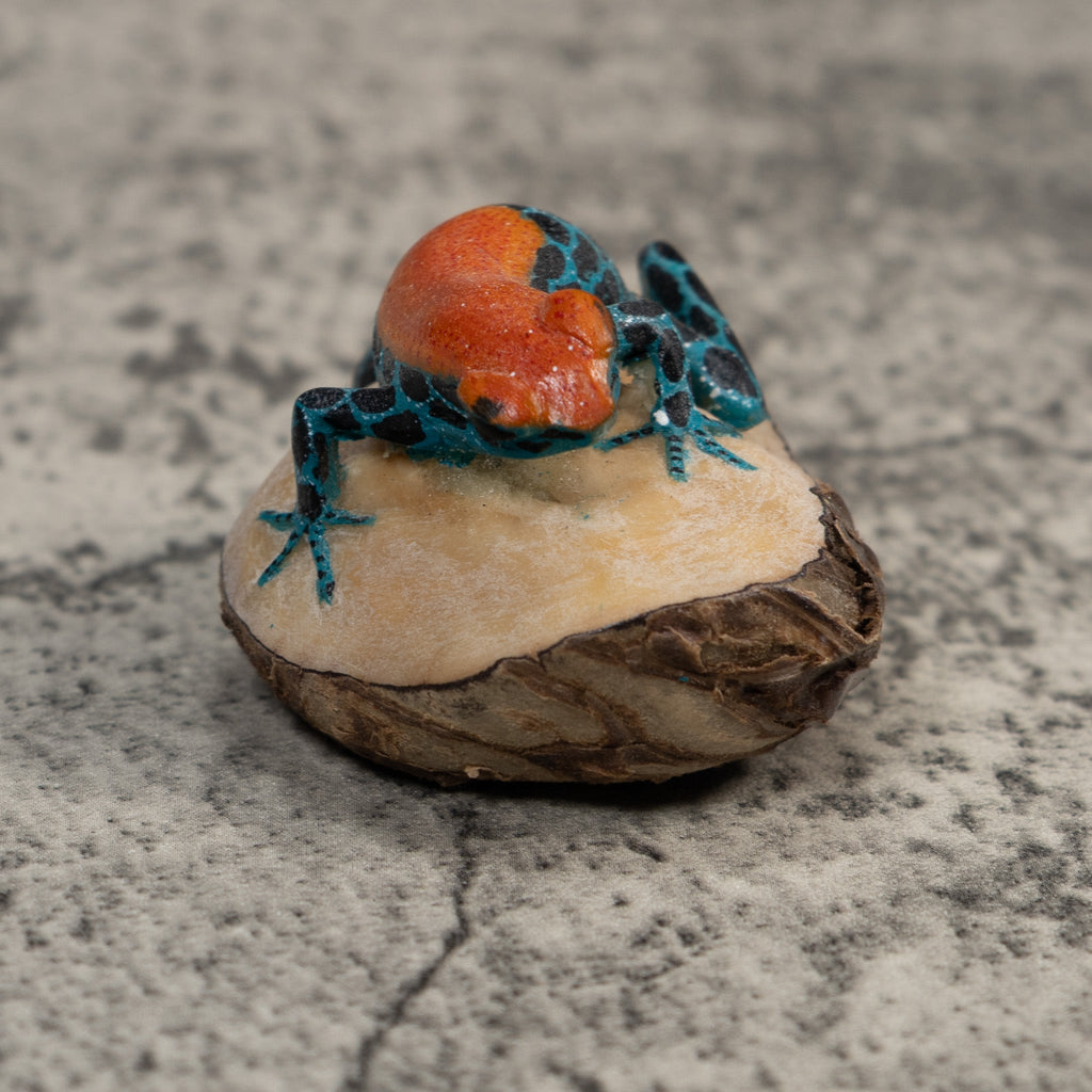 Blue And Orange Poison Dart Frog Tagua Carving