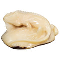 Natural White Iguana Lizard Tagua Carving