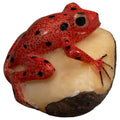 Vintage Red And Black Poison Dart Frog Tagua Carving