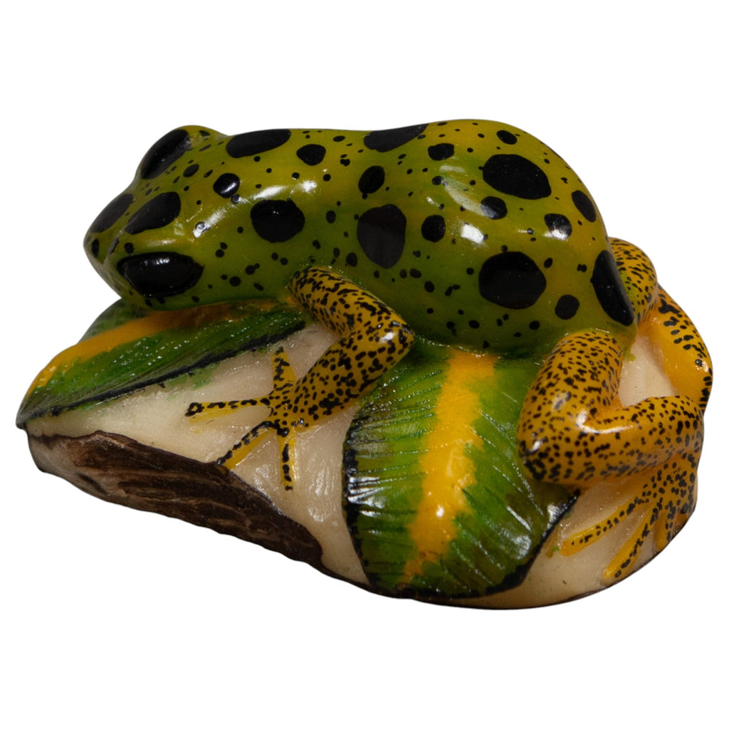 Green Gold And Black Poison Dart Frog Tagua Carving