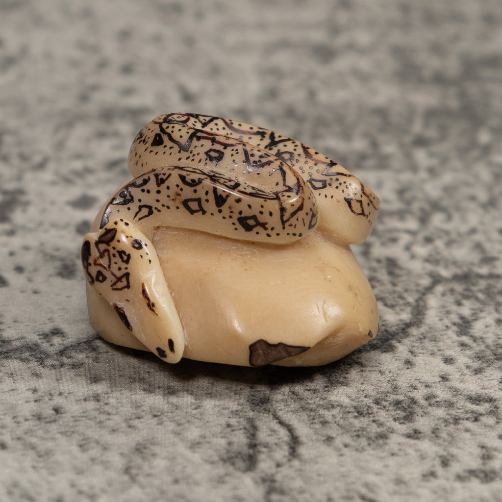 Jungle Snake Tagua Carving