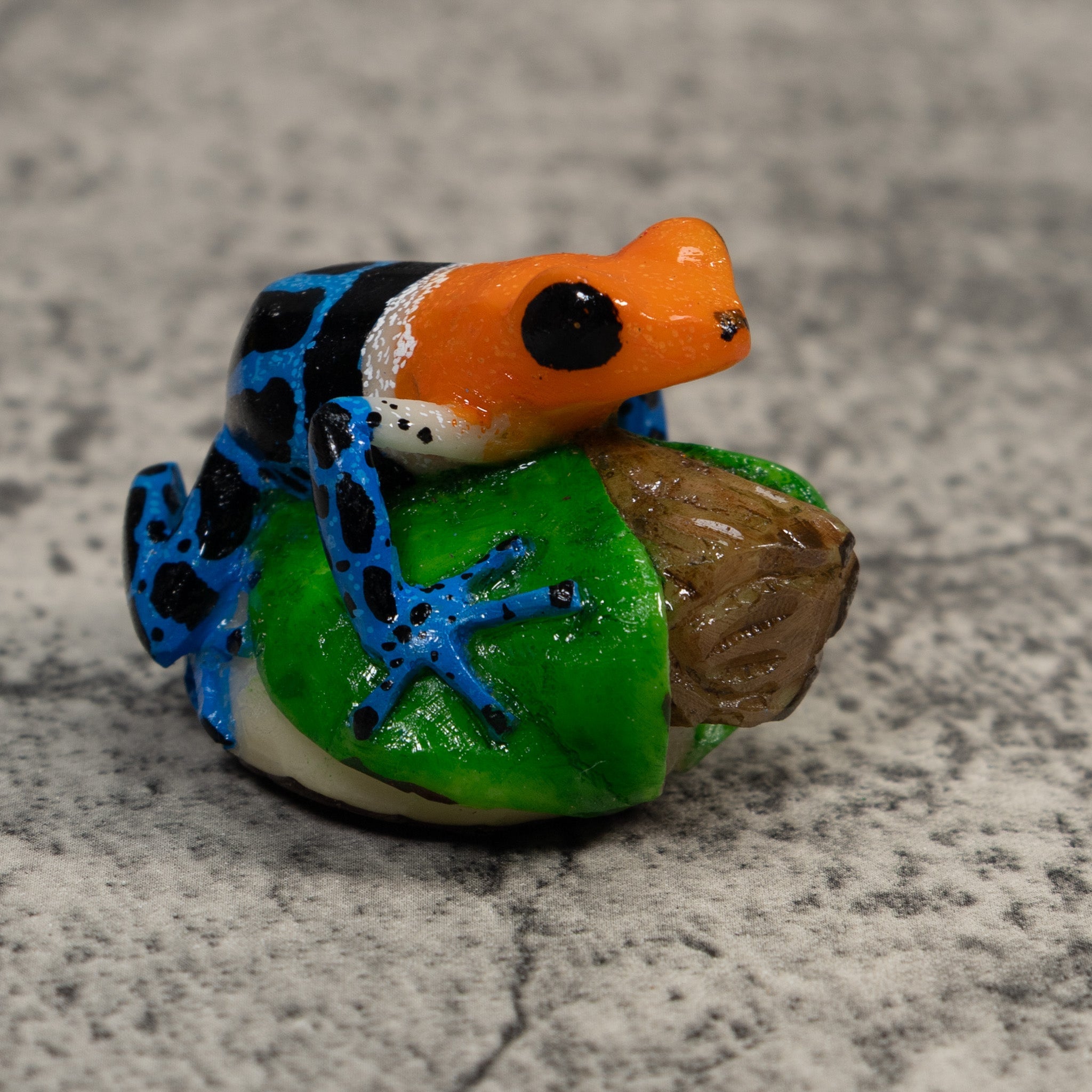 Orange Blue And Black Poison Dart Frog Tagua Carving