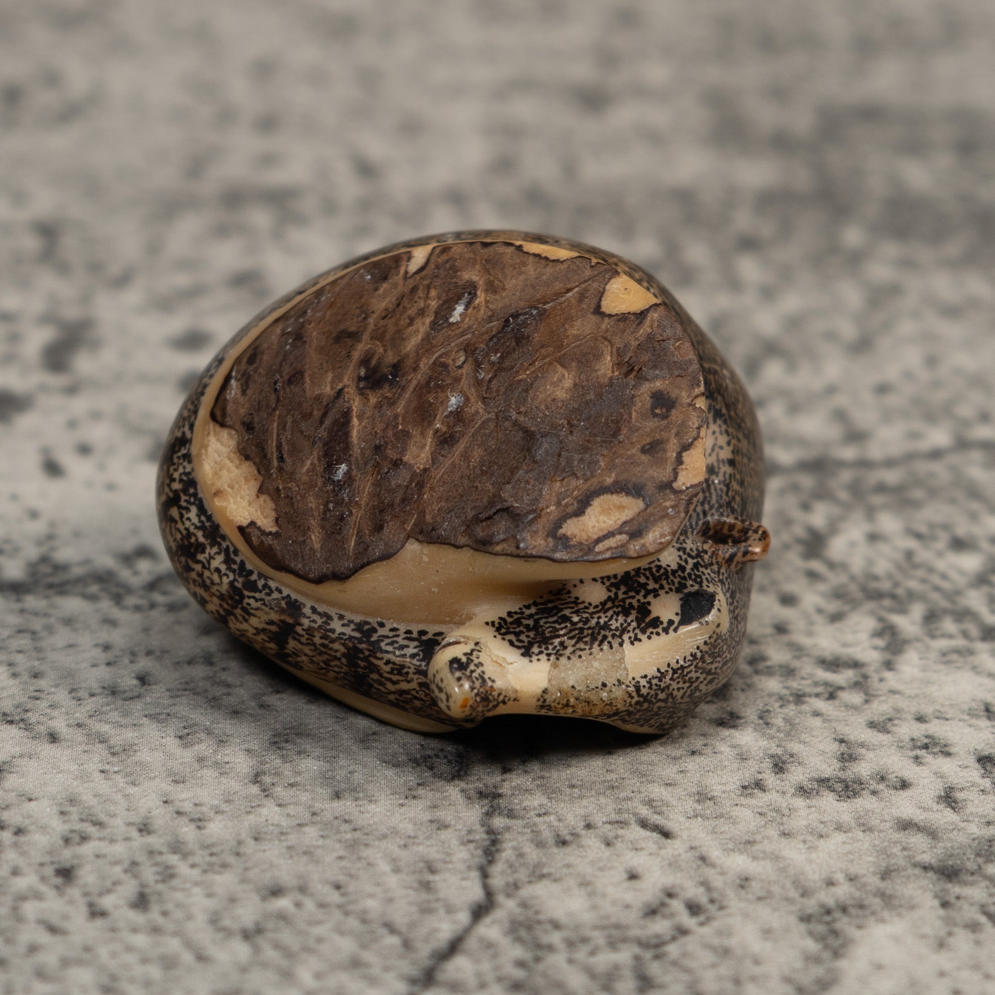 Vintage Black And White Coatimundi Tagua Carving