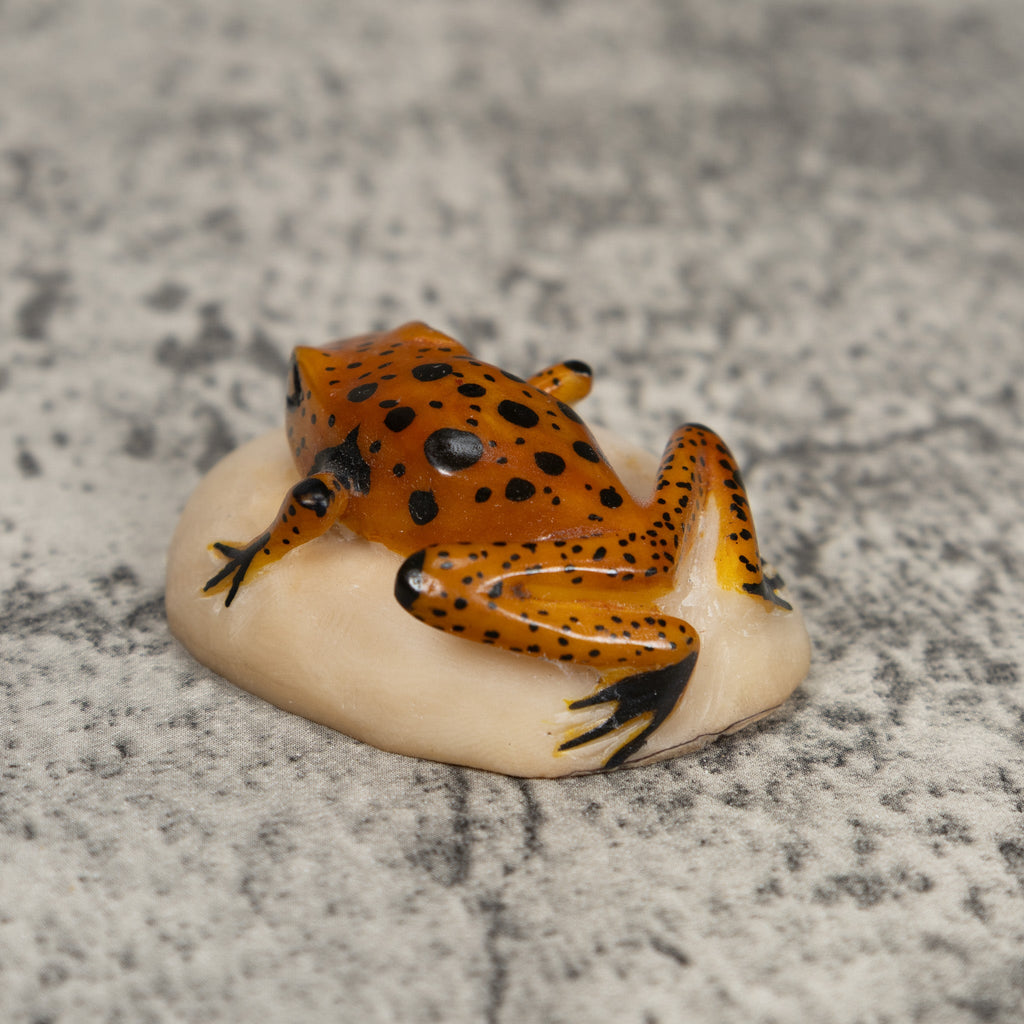 Bronze And Black Frog Tagua Carving