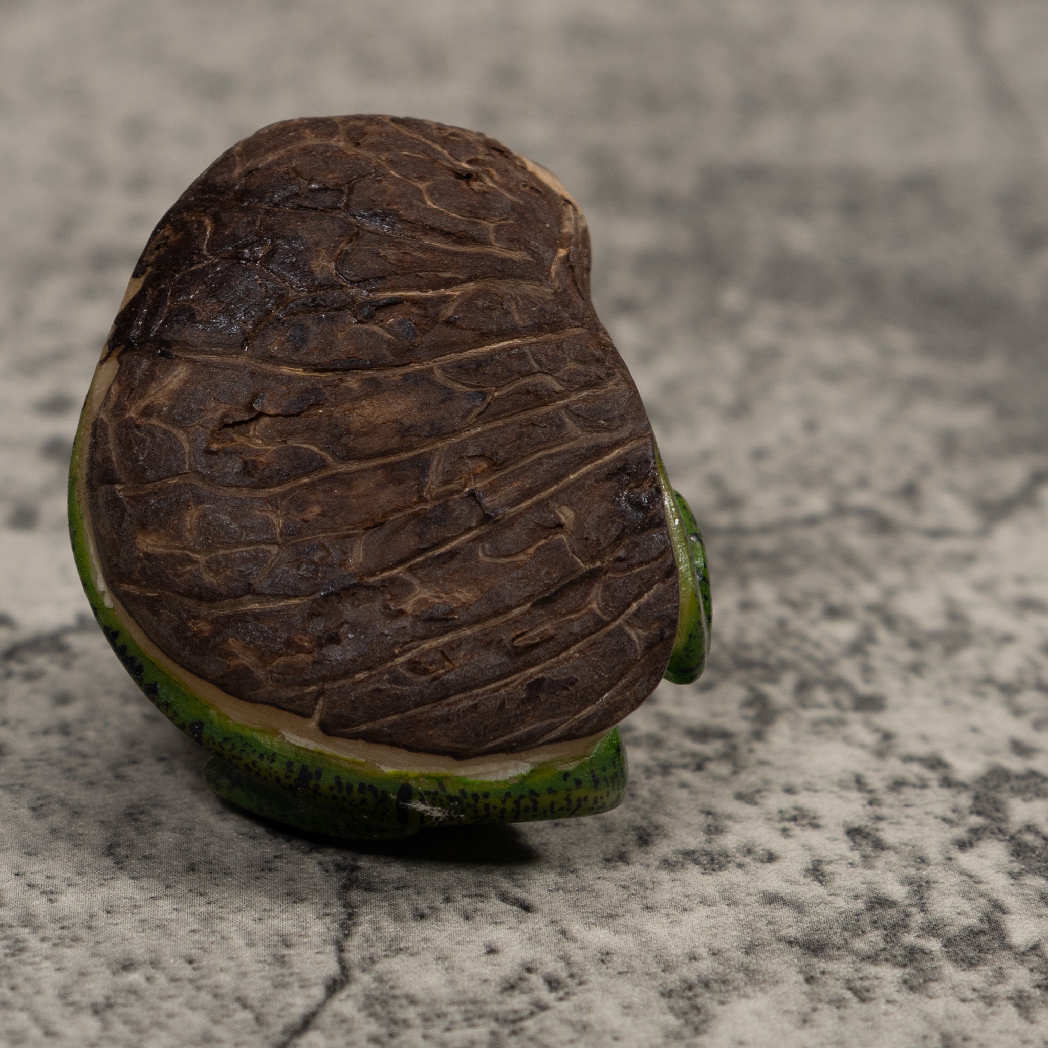 Iguana Lizard Reptile Tagua Carving