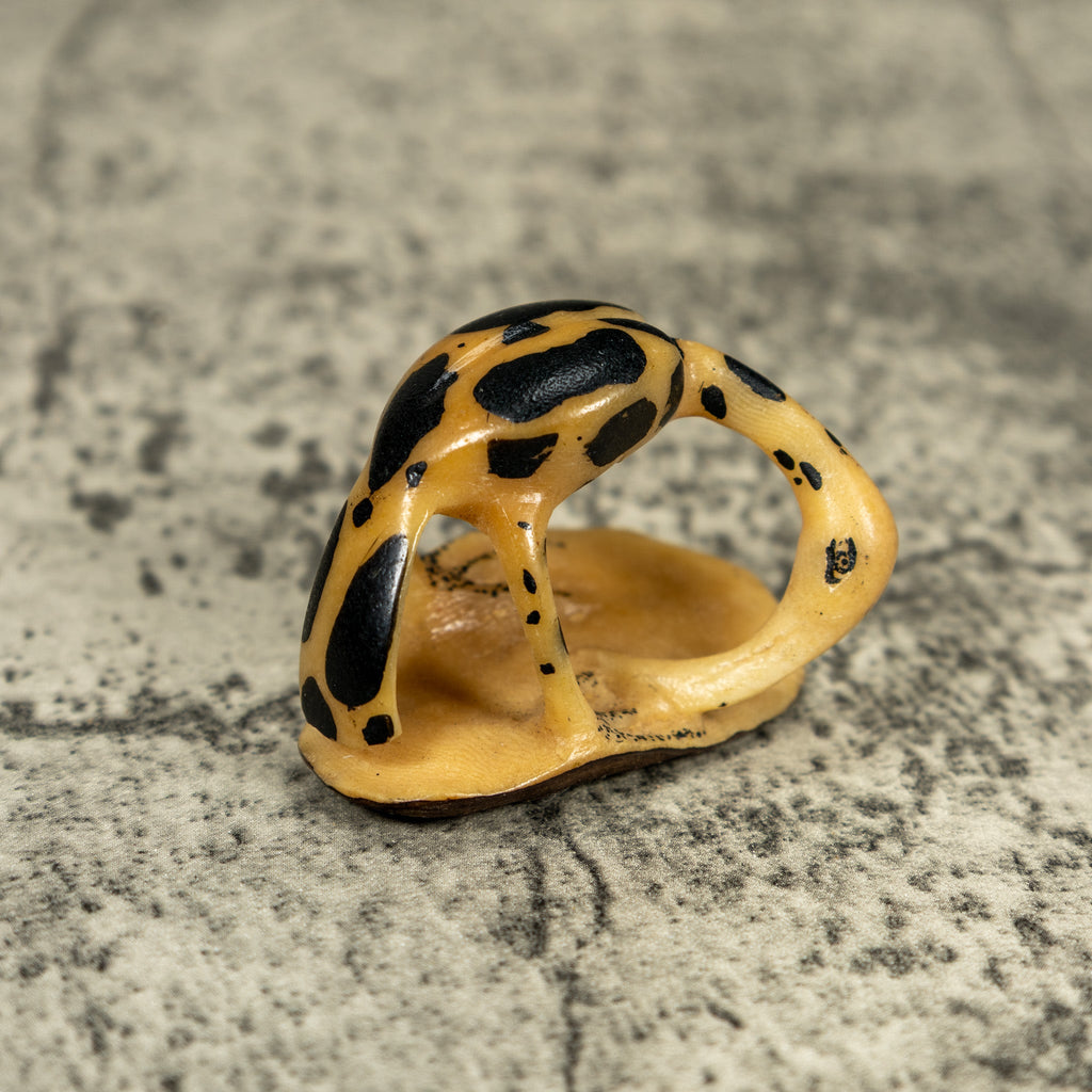 Vintage Black And Yellow Waterbird Tagua Carving